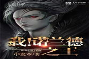 我！诺兰德之王