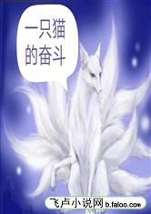 一只猫的奋斗