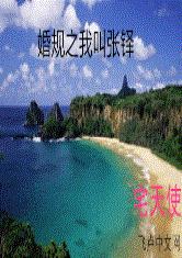 婚规之我叫张铎