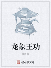 龙象王功