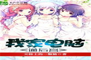 我家电脑通后宫