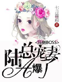 报告BOSS：陆总宠妻A爆了