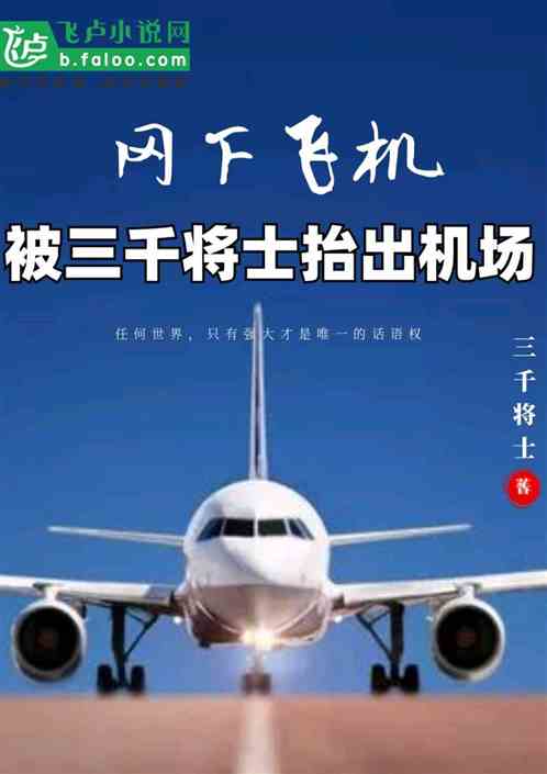 刚下飞机，却被三千将士抬出机场