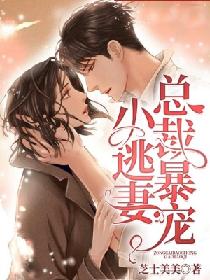 总裁暴宠小逃妻