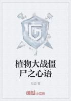 植物大战僵尸之心语