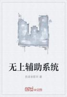 无上辅助系统