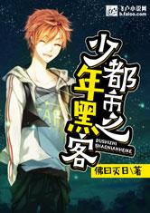 都市之少年黑客