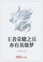 王者荣耀之兵亦有英雄梦