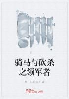 骑马与砍杀之领军者