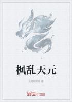 枫乱天元