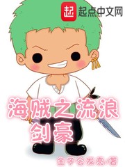 海贼之流浪剑豪