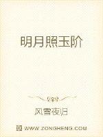 明月照玉阶