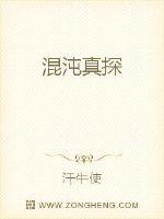 混沌真探