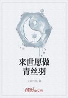 来世愿做青丝羽