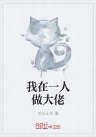 我在一人做大佬