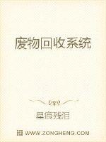 废物回收系统
