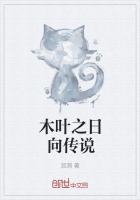 木叶之日向传说