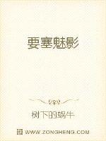 要塞魅影
