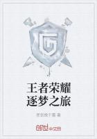 王者荣耀逐梦之旅