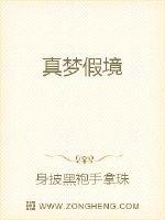 真梦假境