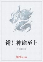 锵！神途至上