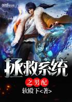 拯救系统之男配