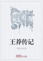 王莽传记