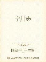 宁川志