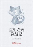 重生之天岚战记