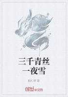 三千青丝一夜雪