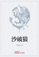 沙破狼