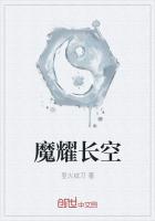 魔耀长空