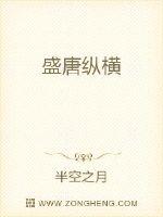 盛唐纵横