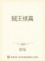 贼王修真