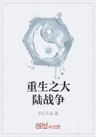 重生之大陆战争