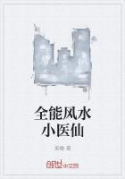全能风水小医仙