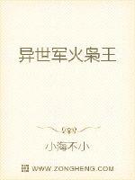 异世军火枭王