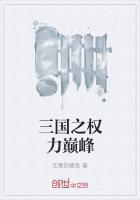 三国之权力巅峰