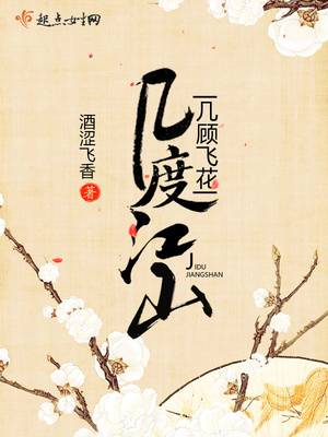 几度江山，几顾飞花