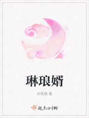 琳琅婿