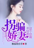 拐骗娇妻，这个总裁不好惹