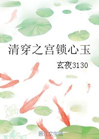 清穿之宫锁心玉