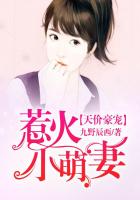 天价豪宠：惹火小萌妻
