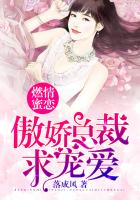 燃情蜜恋：傲娇总裁求宠爱