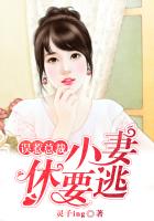 误惹总裁：小妻休要逃