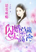 错爱成瘾，闪婚总裁太高冷