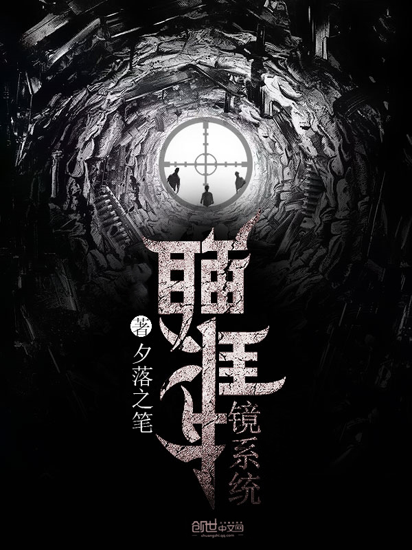 瞄准镜系统