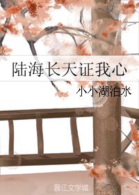 陆海长天证我心