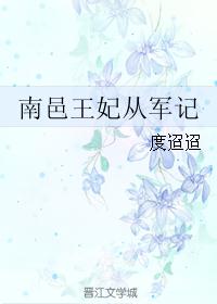 南邑王妃从军记