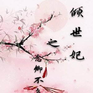 倾世妃之念卿不负